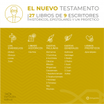 Gráfica clasificación libros del Nuevo Testamento